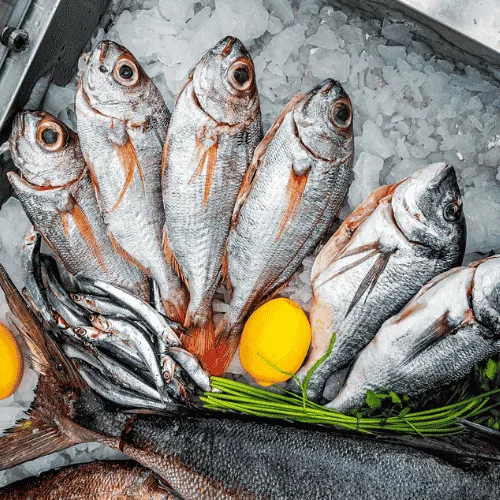 blog fresh fish Aristo Greek restaurant Sofia