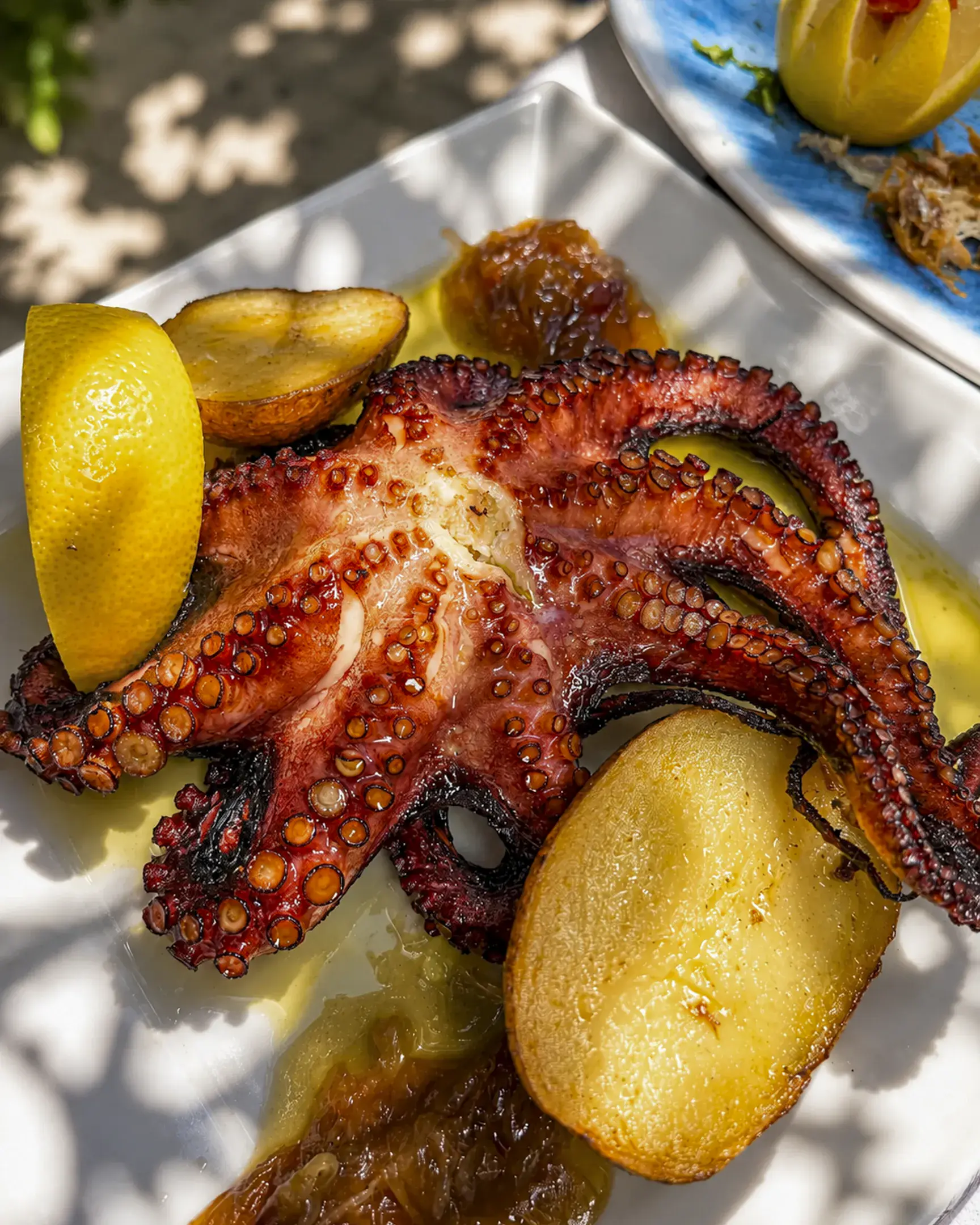 grilled octopus Greek style Mediterranean cuisine Aristo restaurant Sofia